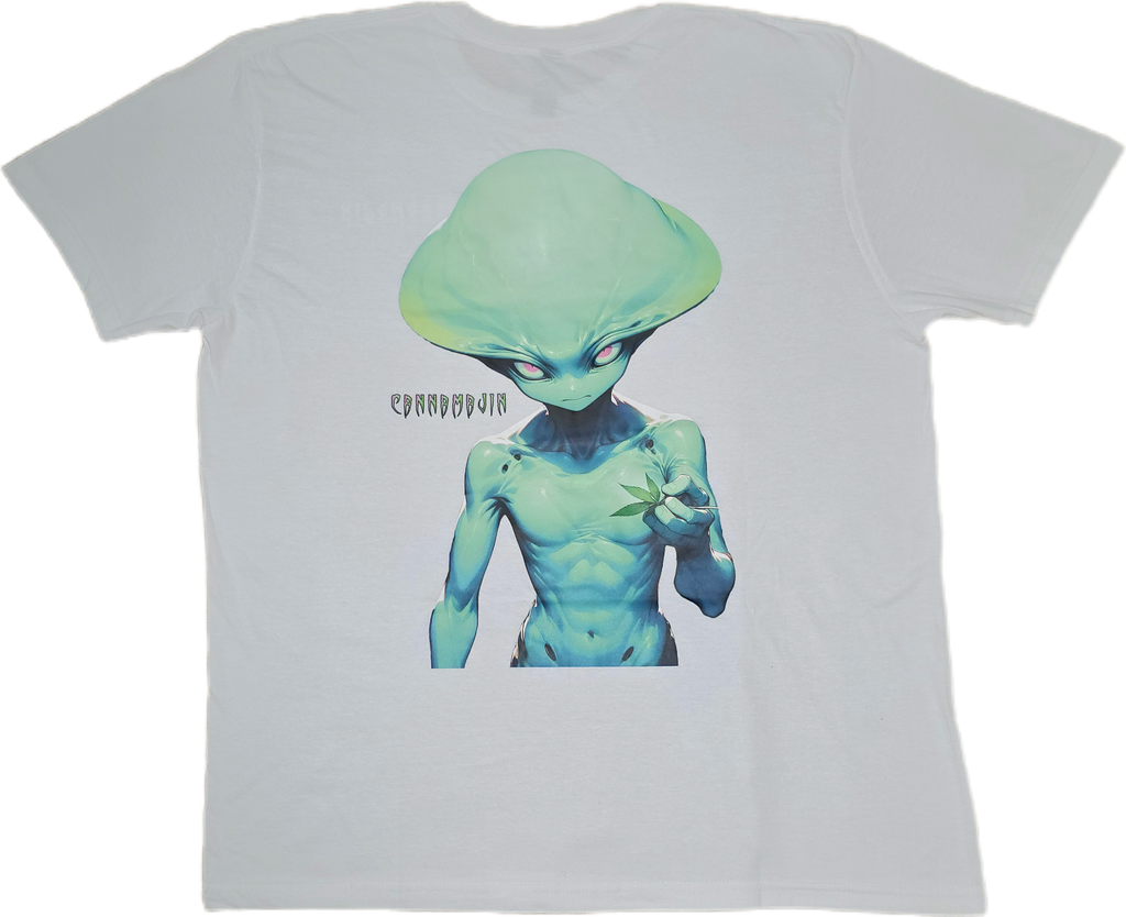 Galaxys Gift *Big Print* Tee