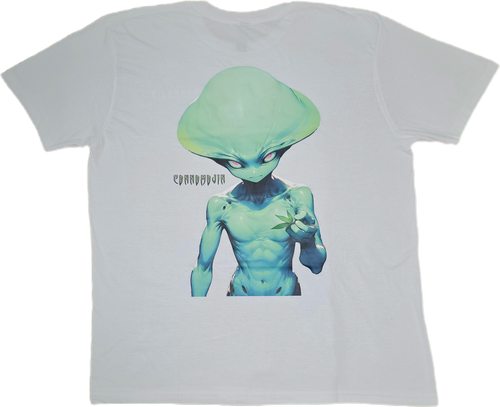 Galaxys Gift *Big Print* Tee