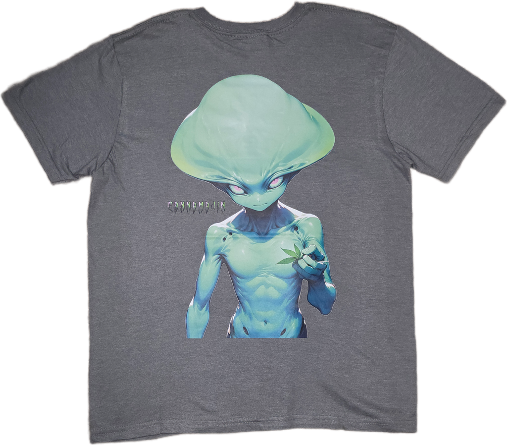 Galaxys Gift *Big Print* Tee