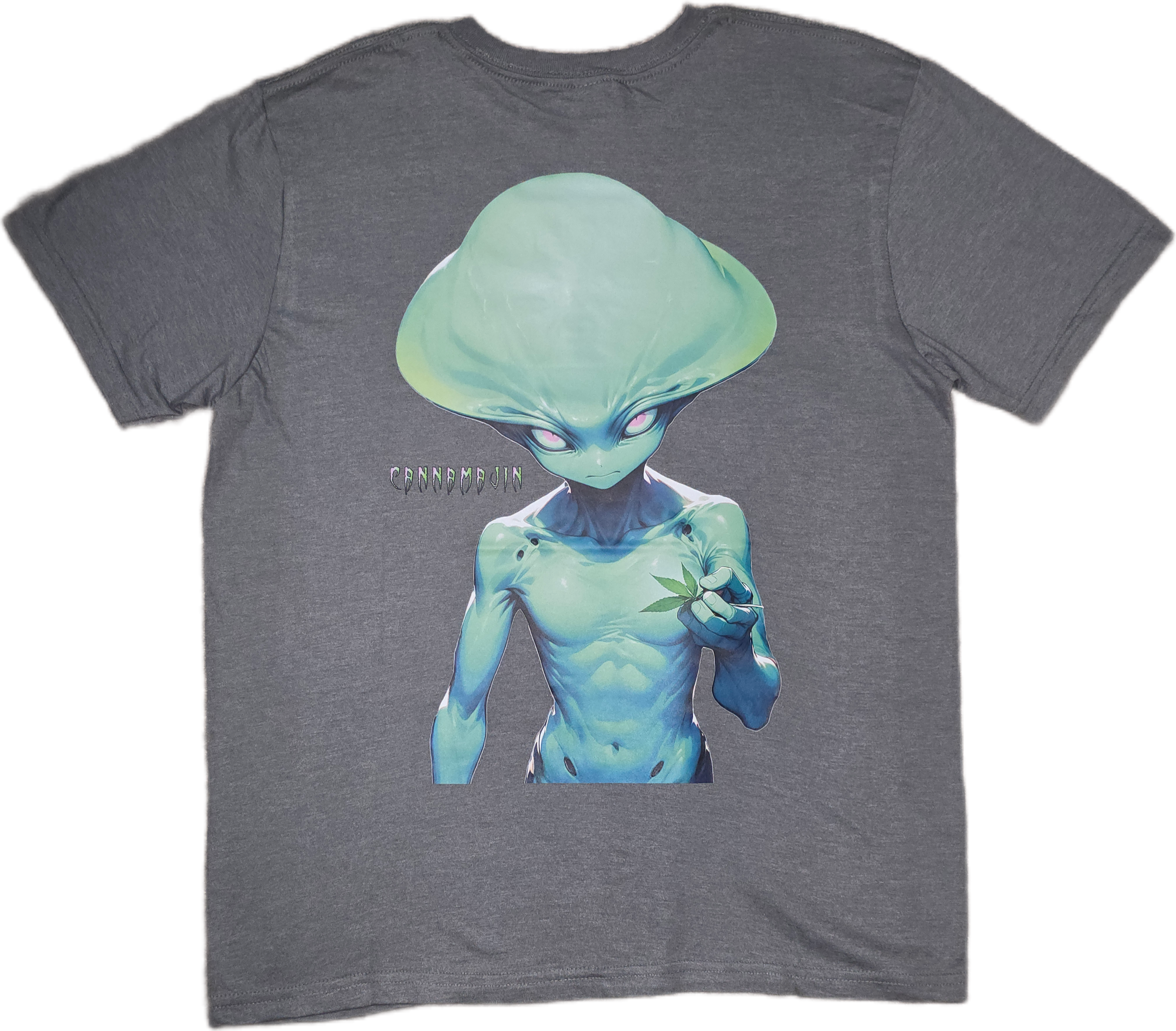 Galaxys Gift *Big Print* Tee