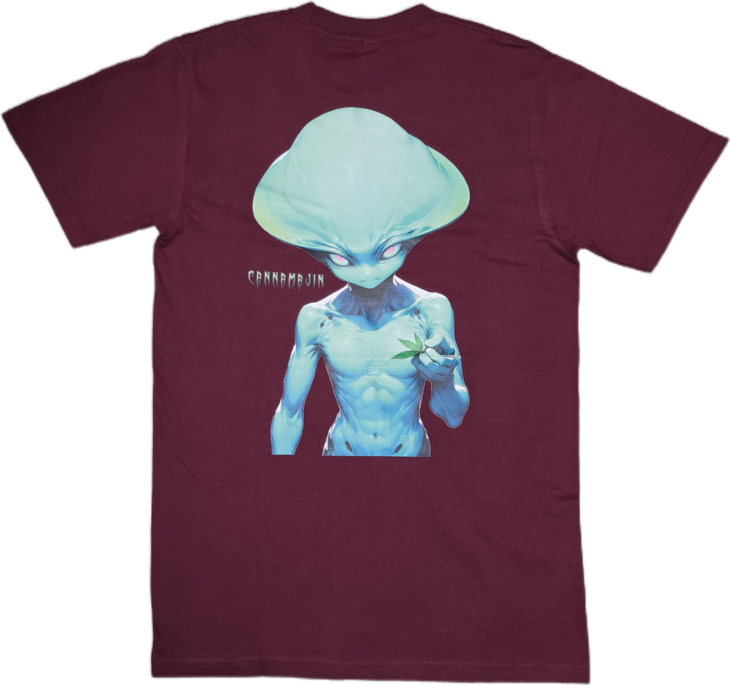Galaxys Gift *Big Print* Tee