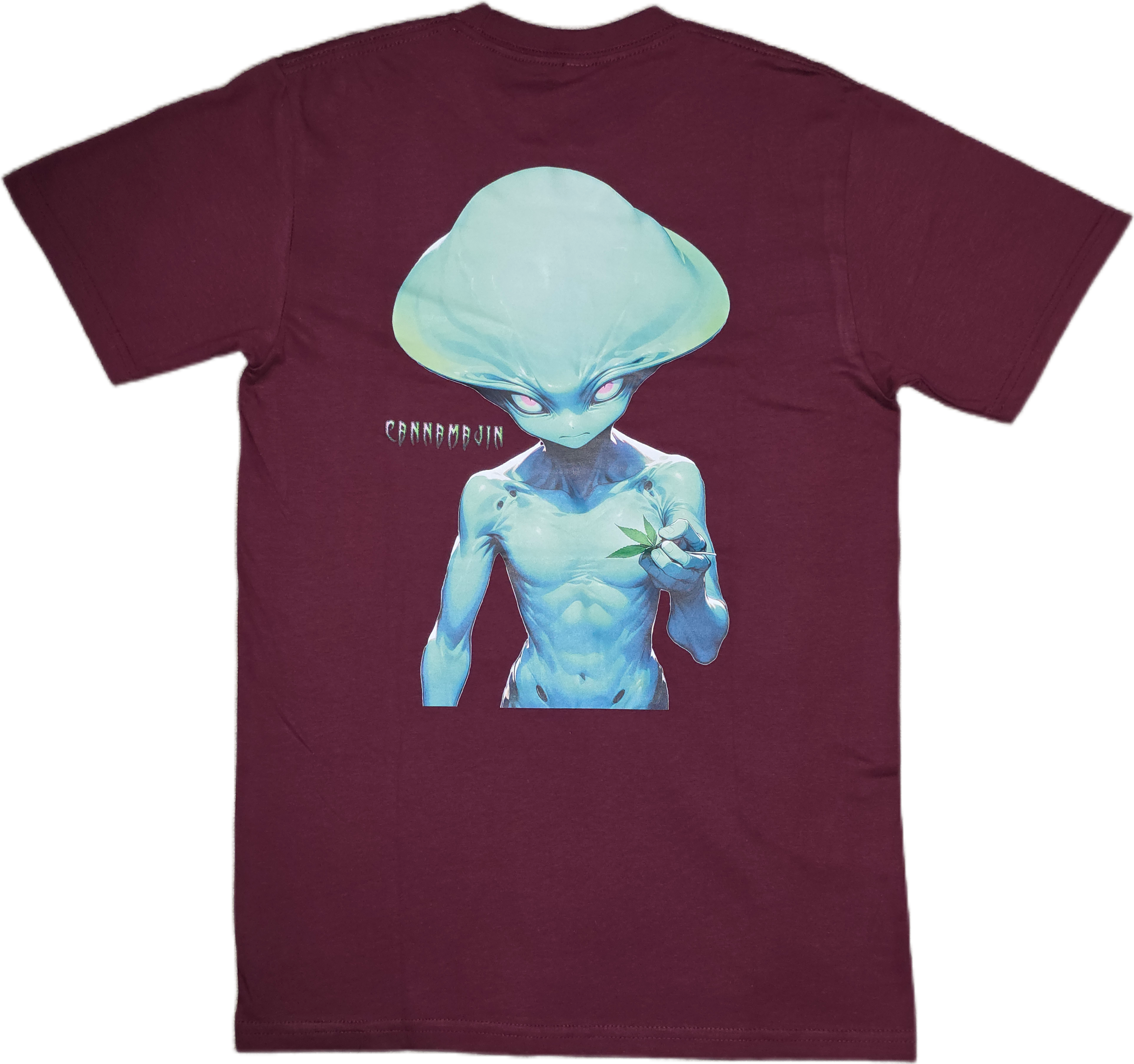 Galaxys Gift *Big Print* Tee
