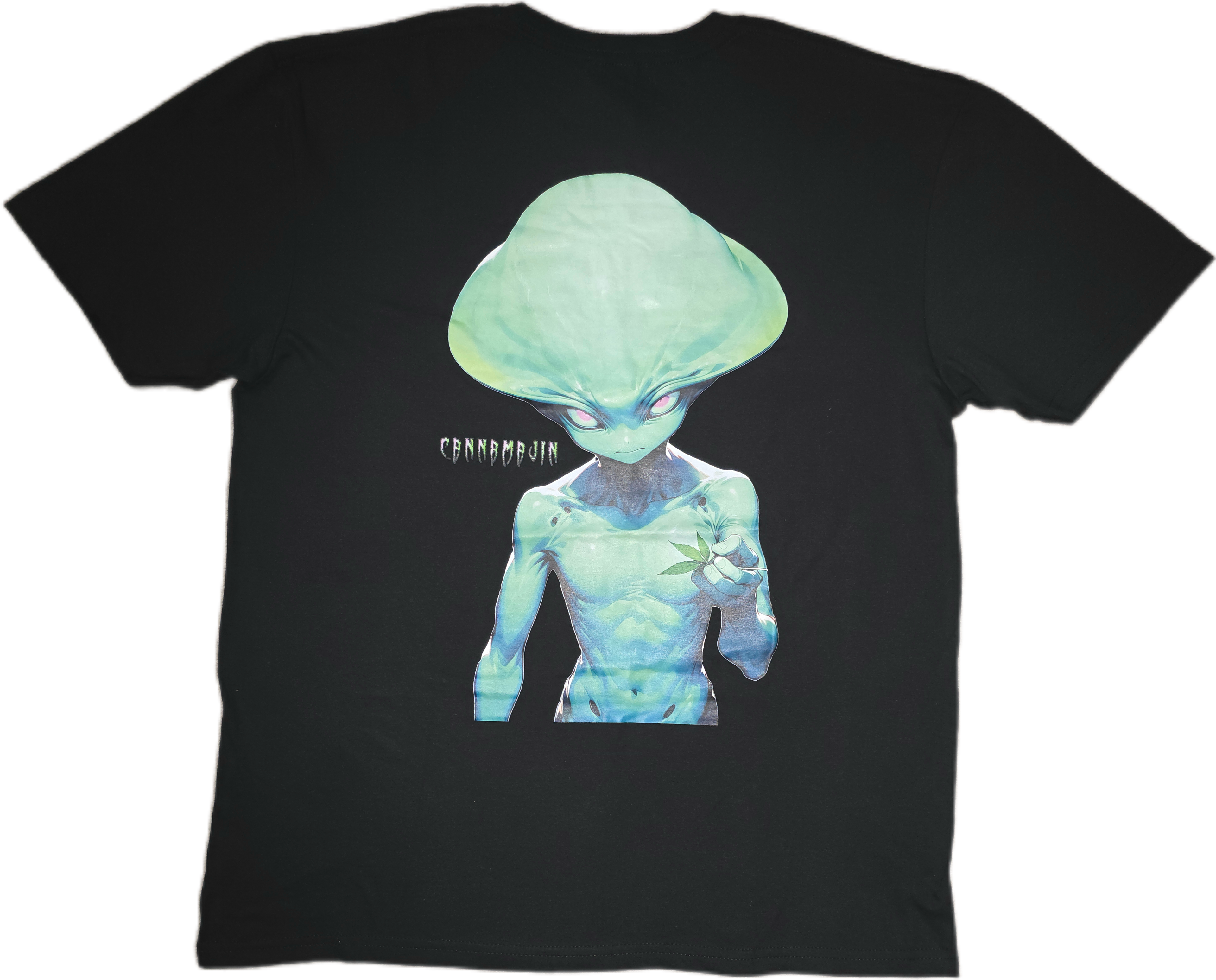 Galaxys Gift *Big Print* Tee
